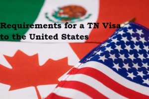 Requirements-for-a-TN-Visa-to-the-United-States