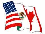 NAFTA Visa for USA TN Visa